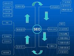 <b>SEO案例：彩经网待完善优化内容汇总</b>